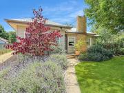 Tickety-Boo on Collopy