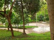 Top Ban Karon Top Ban Karon