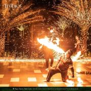 The Tropics at MacArthur Park