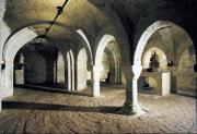 Top Montelupone