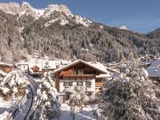 Pet-friendly apartment in the Tannheim Valley