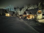 GLICZAROWA OSADA, Chata 18 osób, Domek 8 osób NA WYŁĄCZNOŚĆ, 8 sypialni z łazienkami, spokój, przyroda, wyjątkowe miejsce