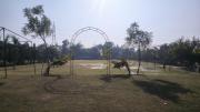 Top Bhauli