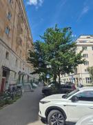 Apartament Koszykowa 3 Apartament Koszykowa 3