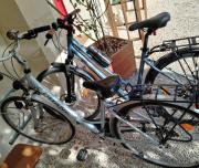 Chambre Une Rive au Loing