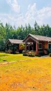 Lovely nest homestay