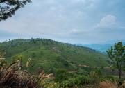 Top Coonoor
