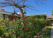 Villa Maspalomas Gran Canaria