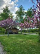 Camping, hébergement insolite proche de Vulcania