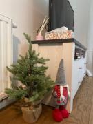 Top Kraków Top Kraków