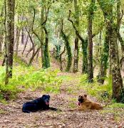 Top Celorico de Basto