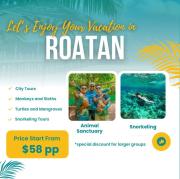 Bonsai Rentals - West Bay Private Rooms