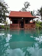 Green vanilla Suite 1