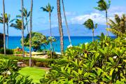 Top Kahana