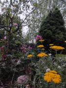 Top Ambérieu-en-Bugey