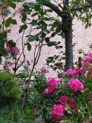 Top Ambérieu-en-Bugey