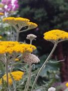 Top Ambérieu-en-Bugey