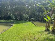 Sítio com rio e muito verde!