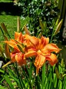 Top Colbún Top Colbún