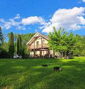 Comfy house by the lake in nature park