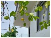 Holiday Apartment Lagoudis, Kitries