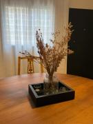 Capibara 7 - Alborada