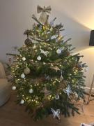 Beautiful entire house in the center