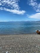 Top Puerto Montt Top Puerto Montt