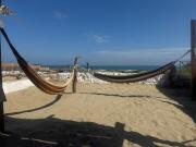 VITSA 180 Los Órganos