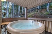 Top Whistler