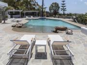 Top Plintri Top Plintri