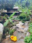 Top Chiang Mai