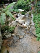 Top Chiang Mai
