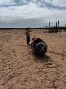 Top Tongoy Top Tongoy