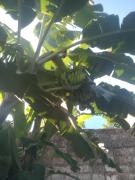 Diadema Ocean Resort Pwani