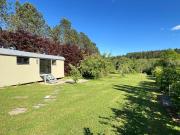 Pine Tree Tiny cottage