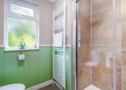 Top Beetley Top Beetley