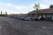 Top Miramichi