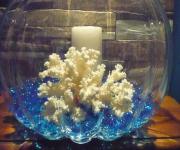 Top Posidhonía Top Posidhonía