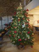 B&B Maas en Heuvel Maastricht