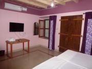 Top Alleppey