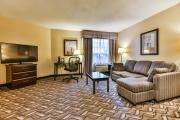 Comfort Inn & Suites Ambassador Bridge