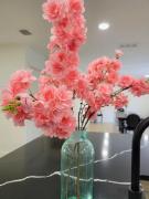 Top North Palm Beach