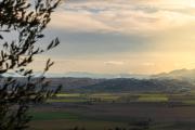 Top Palaia