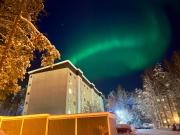 Arctic Forest City Suite