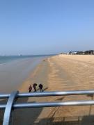 Top Portsmouth