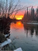 Top Wasilla