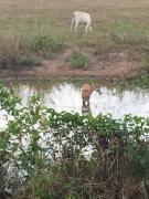 Top Chapada dos Guimarães