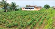 Tent City Malshej Junnar Agro Tourism & Farm