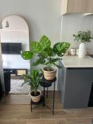 Top El Cerrillo Top El Cerrillo